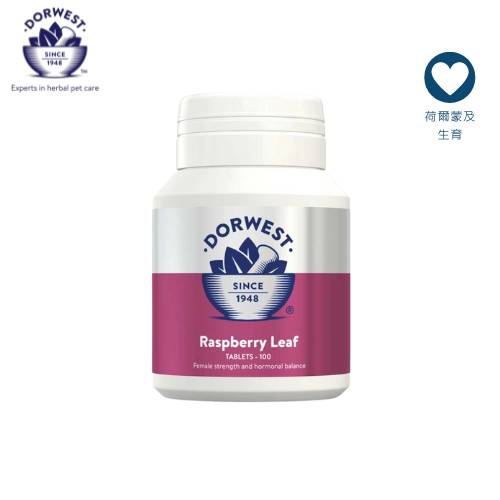 Dorwest Herbs - 覆盆子葉分娩丸100粒 (Copy)