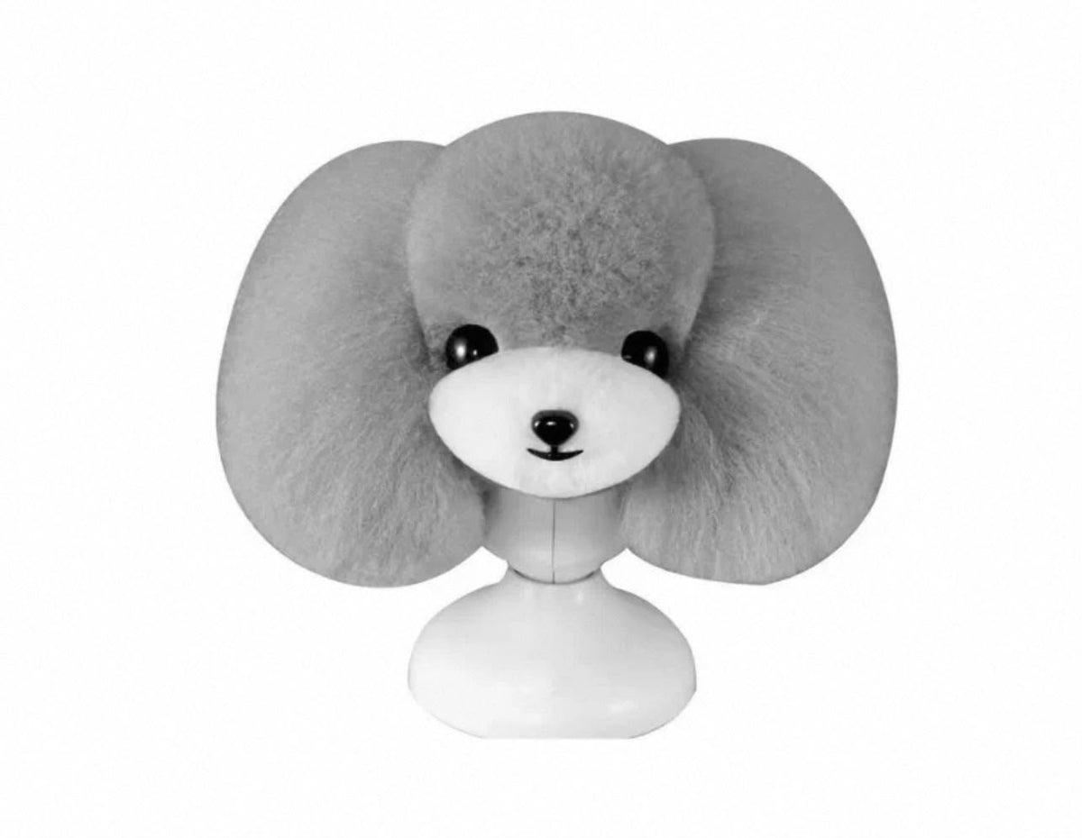 Poodle head hair 貴婦犬頭毛