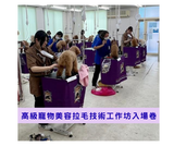 高級寵物美容拉毛技術工作坊入場卷