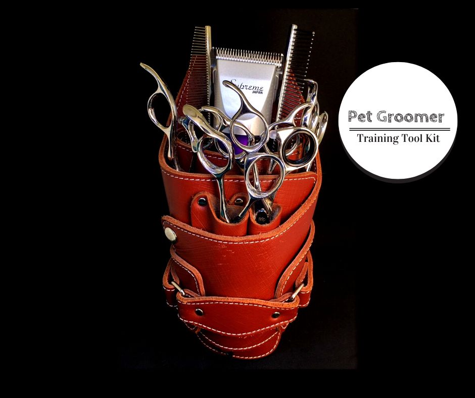 FHDPCLS Pet Groomer Training Tool Kit (Complete)