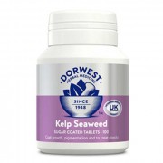 Dorwest – Kelp Seaweed tablets 強效海藻丸 100粒